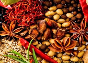 The Untold Story of Rogan Josh