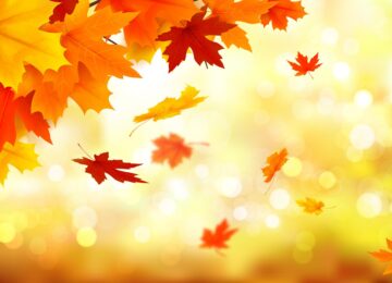 Celebrate The New Season At Indian Delight!